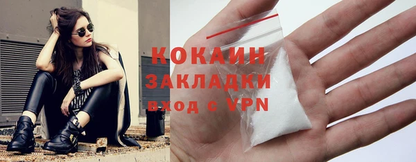 стаф Арсеньев