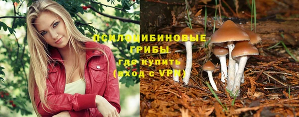 спайс Аркадак