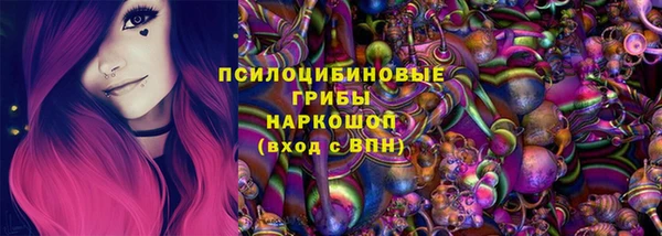 стаф Арсеньев