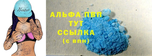 стаф Арсеньев