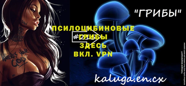 стаф Арсеньев