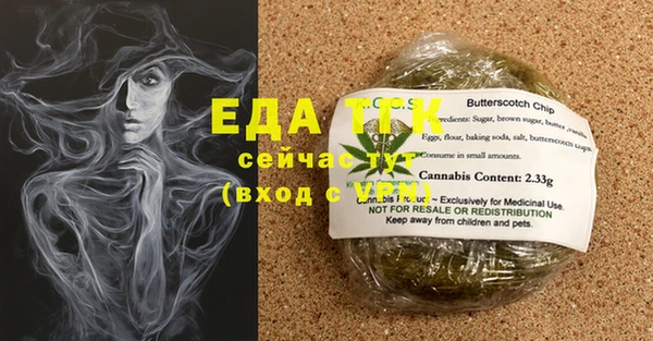стаф Арсеньев