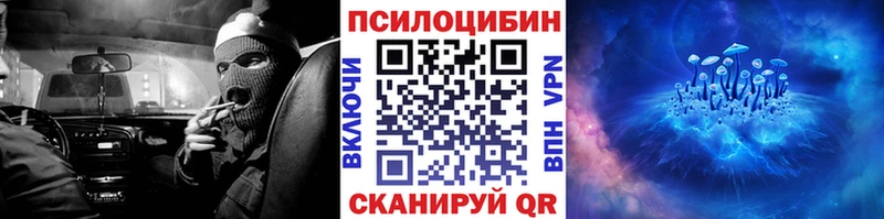 Псилоцибиновые грибы Cubensis Жигулёвск